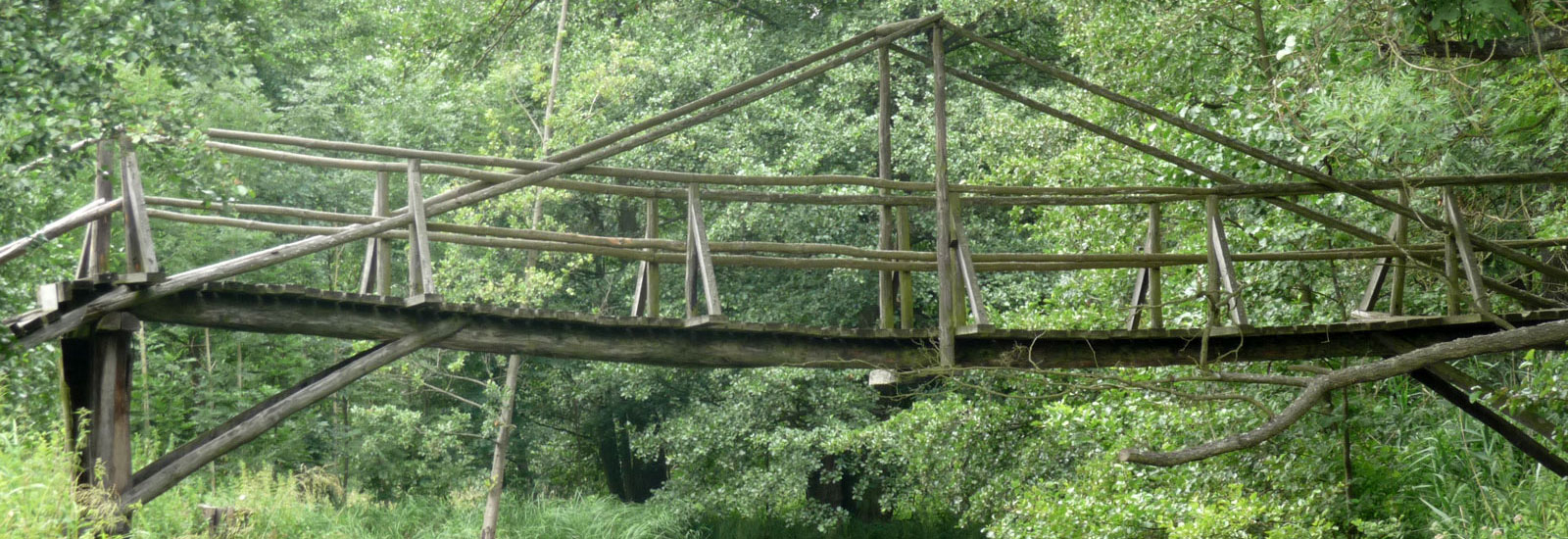 Holzbrücke